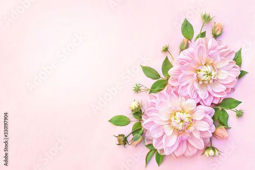 Soft pink delicate blossoming dahlias, summer blooming flowers festive background, pastel bouquet floral card, toned 