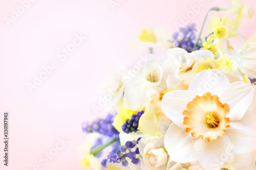 Spring blossoming yellow and white daffodils posy, springtime blooming narcissus (jonquil) bouquet with muscari flowers, festive floral background