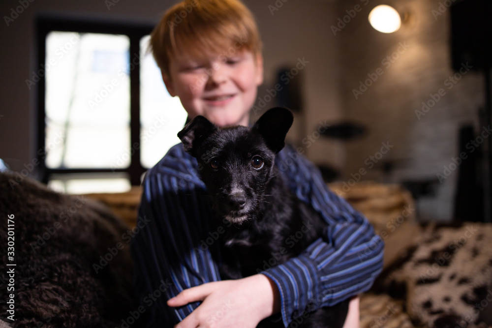 boy with a dog in his arms, friend of the house, kid, funny mongrel