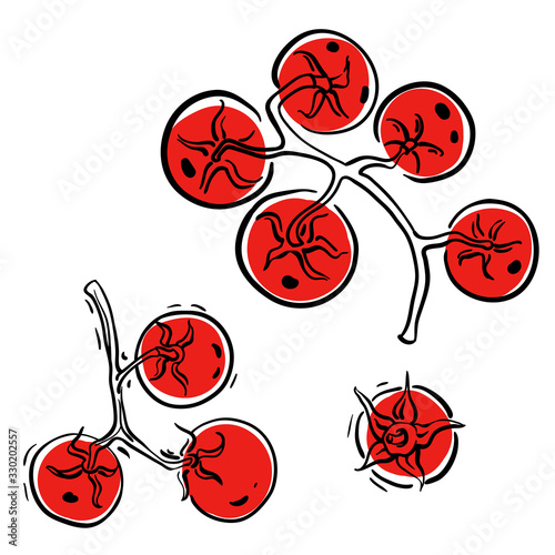 Cherry vine tomatoes top view. Colorful sketch of vegetables isolated on white background. Doodle hand drawn vegetables. Vector illustration