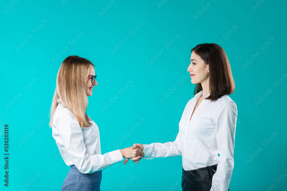 Team and business handshake of two women. Closing the deal. Hand in hand in the journey of success. female client and smiling insurance broker or financial advisor making deal agreement shaking hands Team and business handshake of two women. Closing the deal. Hand in hand in the journey of success. female client and smiling insurance broker or financial advisor making deal agreement shaking hands