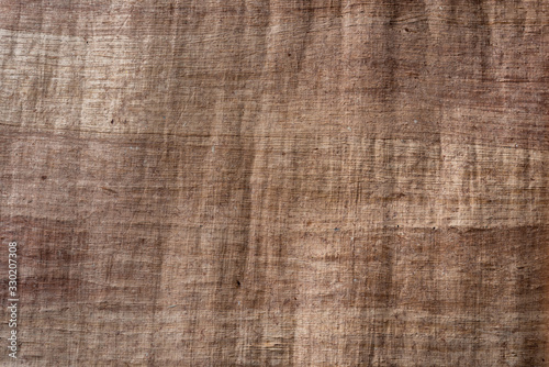 The texture of the papyrus close up