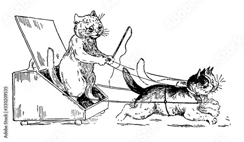 A Cat That Looks Common But Isn't, vintage illustration