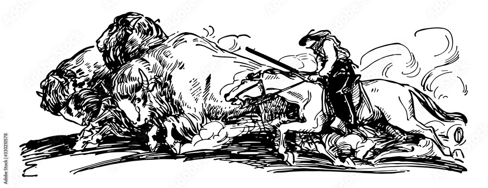 Obraz Buffaloes, vintage illustration.