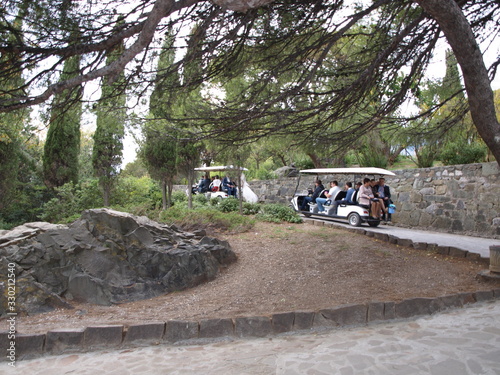 electric car with tourists rides along the park road