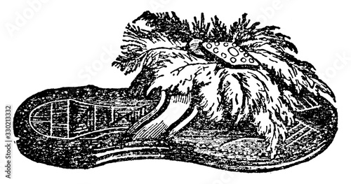 An African sandal used in daily life, vintage engraving.
