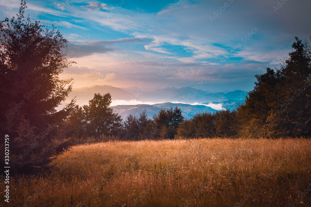 Simple serene landscape, pasture or glade on a mountain plato