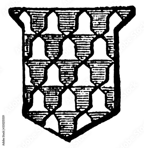 Vair is one of the furs in heraldry, vintage engraving.