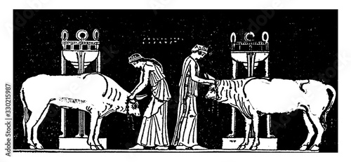 Sacrifice is a vase-painting by Polygnotus, vintage engraving.