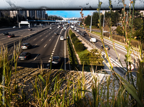 Puente con hierba sobre autopista  photo