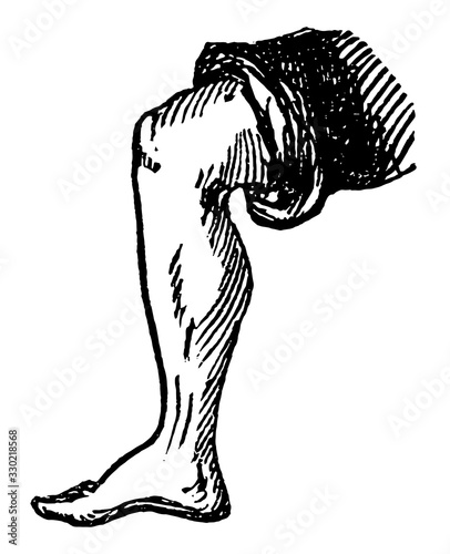 Leg, vintage illustration