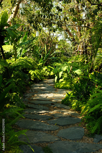 A path walk amidst green trees