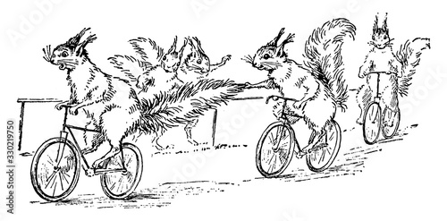 The Squirrel With A Broken Leg, vintage illustration