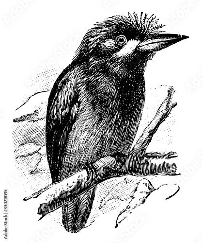 Puff, vintage illustration.