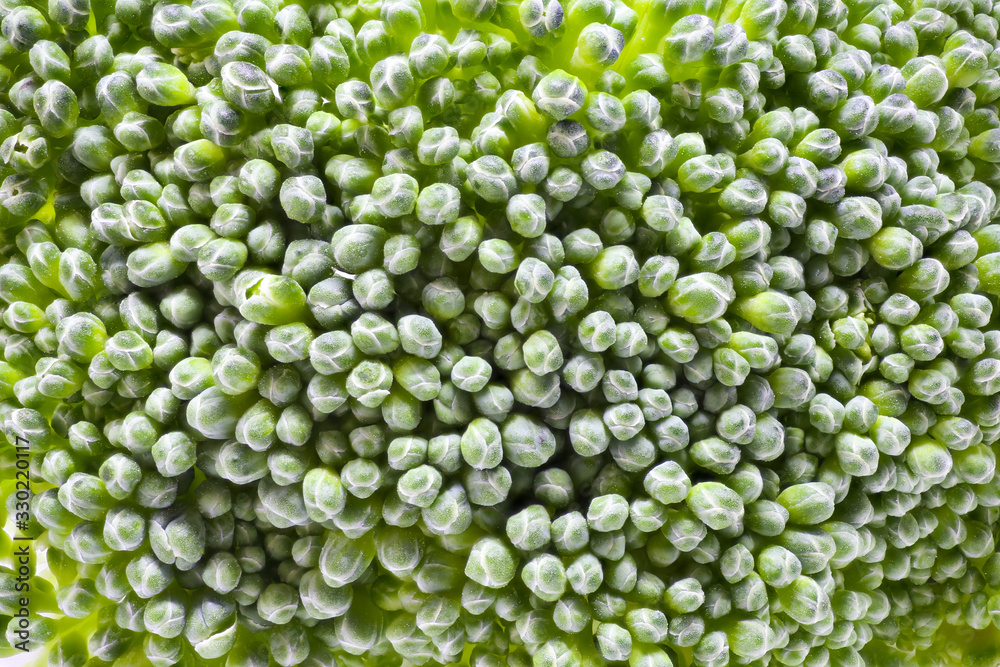 Broccoli Background Broccoli Background