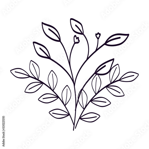 branches with leafs natural line style vector illustration design