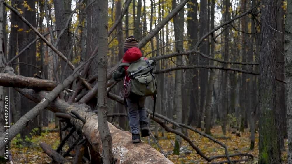 Little boy scout with backpack and rope during hiking in autumn forest. Child walking on a fallen log. Concepts of adventure, scouting and hiking tourism for kids. Little boy scout with backpack and rope during hiking in autumn forest. Child walking on a fallen log. Concepts of adventure, scouting and hiking tourism for kids.