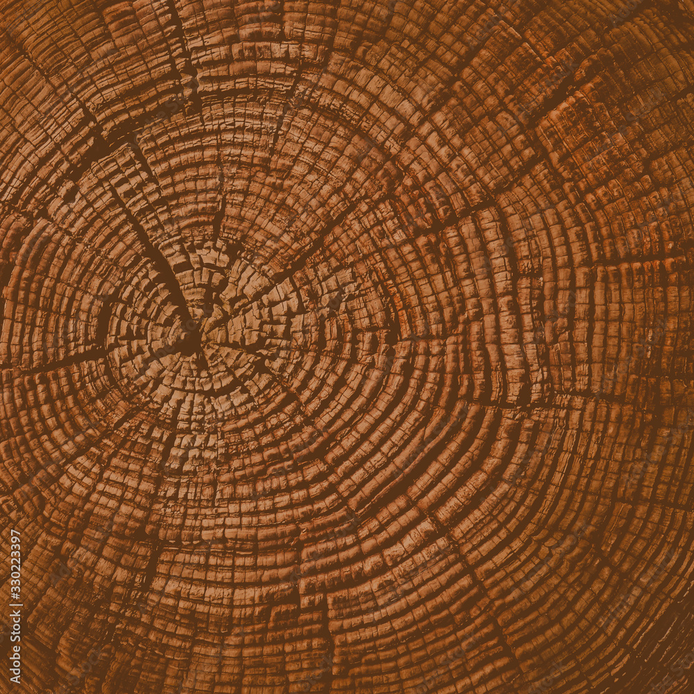Naklejka premium Old detailed warm dark brown and orange tones of a felled tree trunk or stump. Rough organic texture of tree rings with close up of end grain.