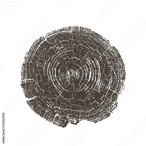 Black and white stamp of wood texture of tree rings from a slice of log. Contrast negative monotone image of cut tree.