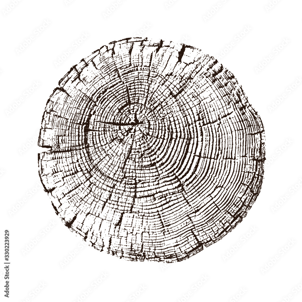 Black and white stamp of wood texture of tree rings from a slice