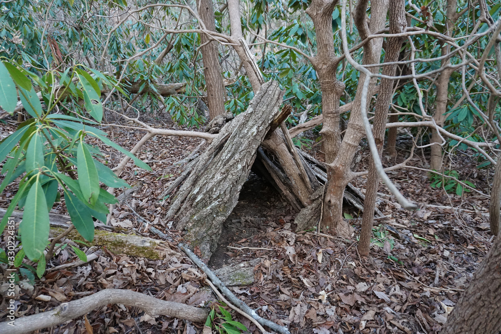 Primitive Bushcraft survival debris hut with campfire ring outside. Blanket, shelter, fire in the forest. Social distancing, CoronaVirus Pandemic disease Prepping, prepper Primitive Bushcraft survival debris hut with campfire ring outside. Blanket, shelter, fire in the forest. Social distancing, CoronaVirus Pandemic disease Prepping, prepper