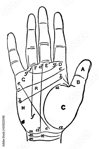Palmistry, discover the temperament, vintage engraving. photo