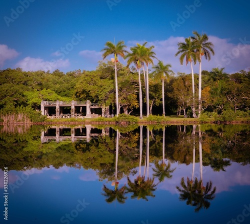 palm tree landscape field river reflection water lake tropical beach sky nature island blue green vacation sunset florida miami