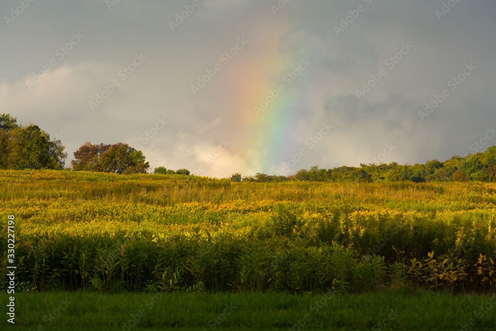 Rainbow over autumn field