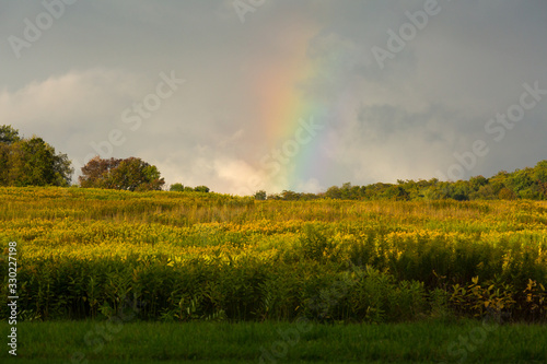 Fototapeta Naklejka Na Ścianę i Meble -  Rainbow over autumn field