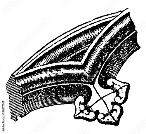 Cusp, arches, vintage engraving.