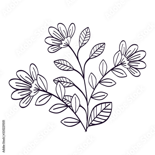 cute flowers with branches and leafs line style icon vector illustration design