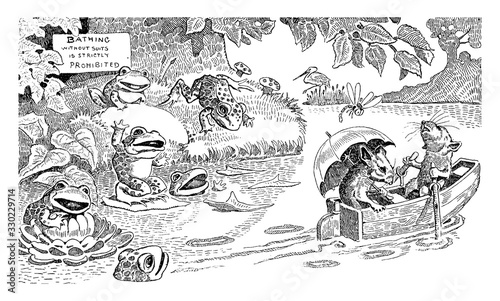 Skinny-dipping Frogs, vintage illustration