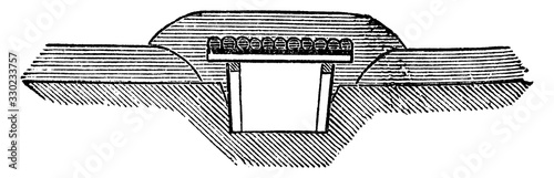 Covered Sap, vintage illustration.