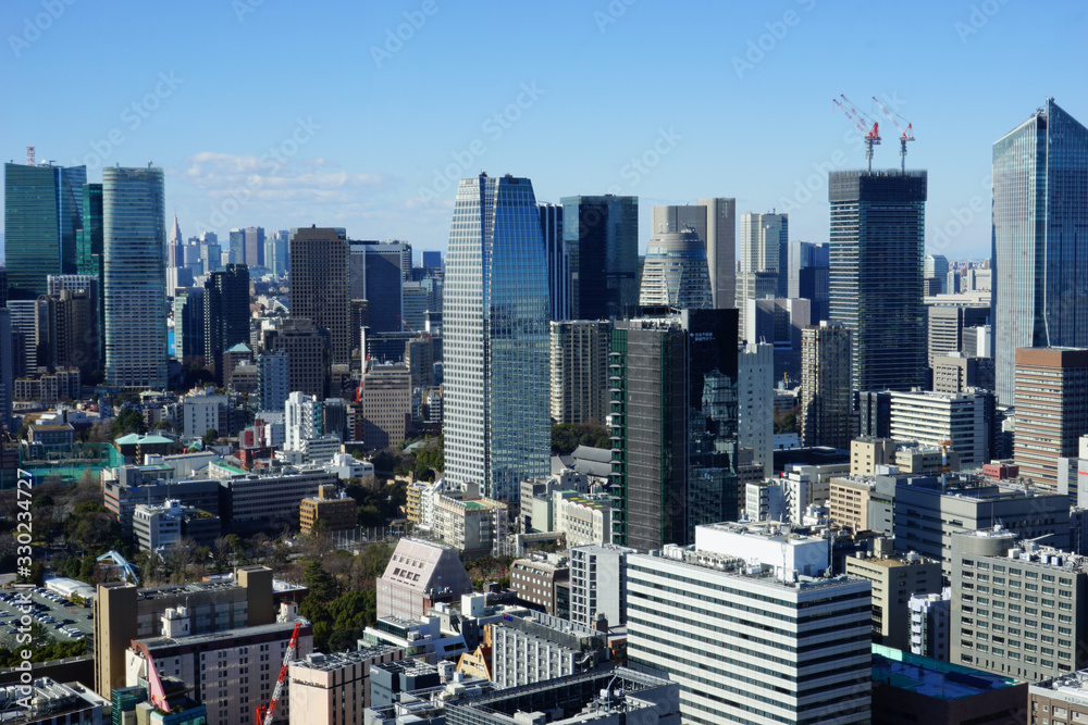 Naklejka premium 東京 2020年 景色 展望 展望台 俯瞰 遠景 昼間 快晴 青空