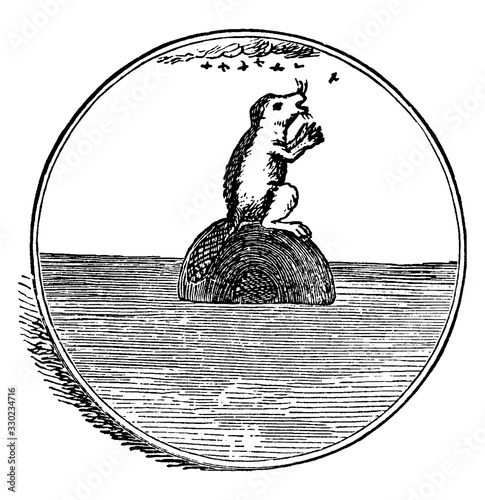 Totem Beaver, vintage illustration.