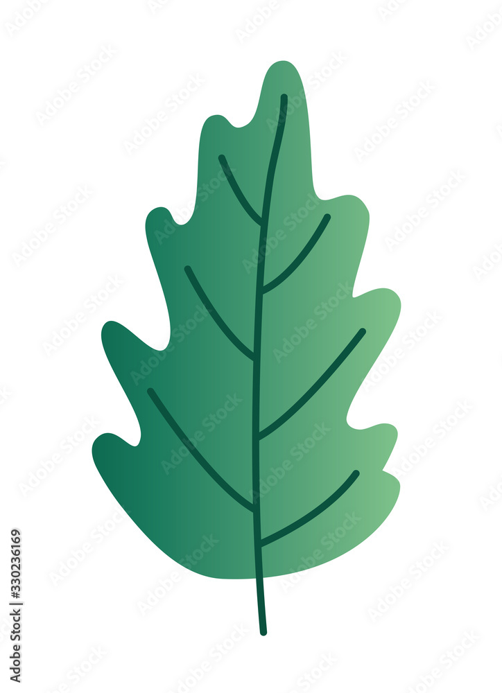 Fototapeta premium Isolated natural leaf vector design