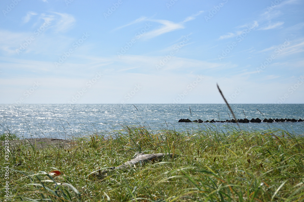 Fototapeta premium 夏の海