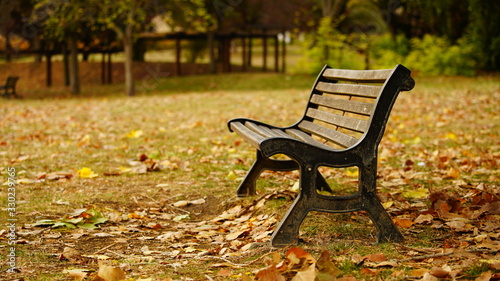 A park bench with yellow leaves in autumn 