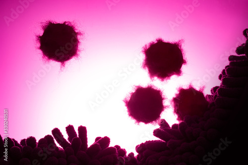 コロナウイルスのイメージ Coronavirus image | wuhan virus