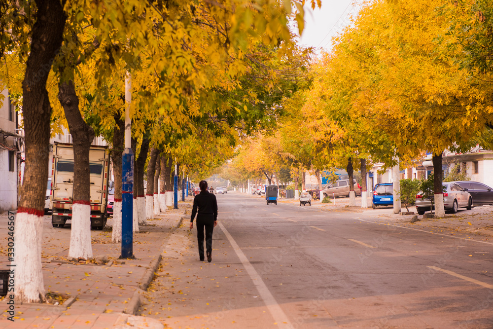 Street scene in autumn
