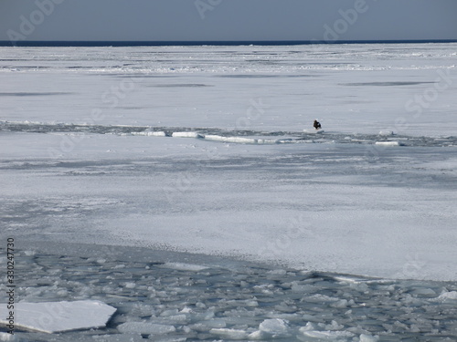 網走流氷観光砕氷船おーろら（沖合航路）からの眺め（流氷原・オオワシ）