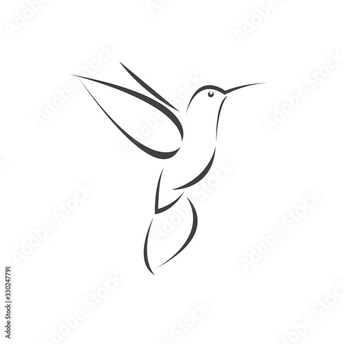 Vector image hummingbird design on white background. icon symbol. Illustrator. Black and White