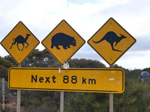 Straßenschilder in der Nullarbor Wüste