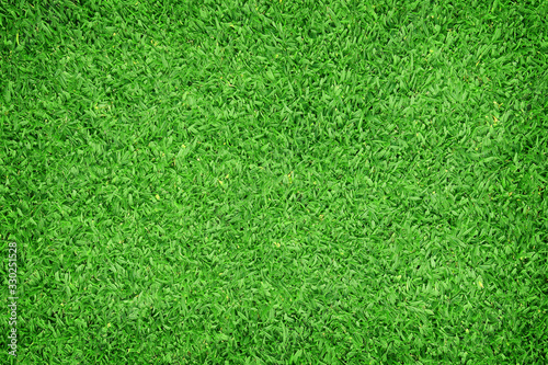 Green grass texture background. Top view