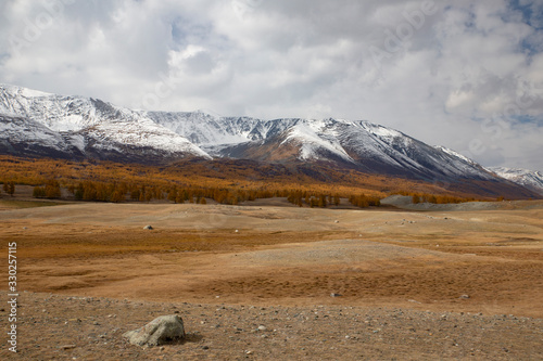 The snowy mountains of Mongolia. Larch at the foot of the mountains.