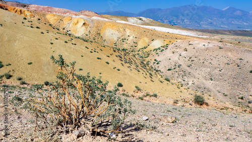 The snowy mountains of Mongolia. 