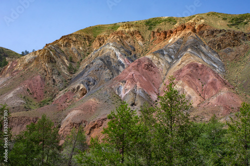  Rainbow mountains of Altai. Forest at the foot of the mountains.