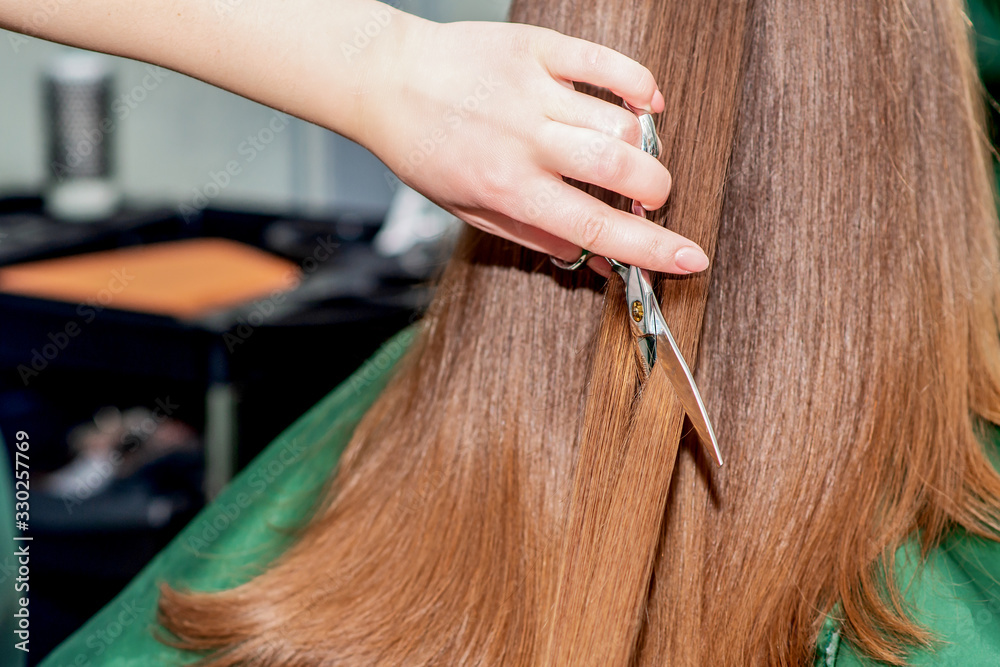 Naklejka premium Cutting hair of woman.