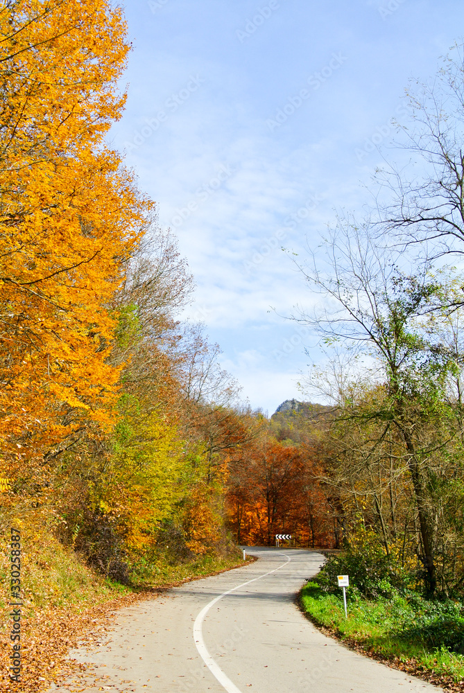 Curvy road through forest in autumn (with trees with colorful yellow, orange, red, brown and green leaves), on mountain Kozara, in national park, near city Prijedor, RS, Bosnia and Herzegovina
