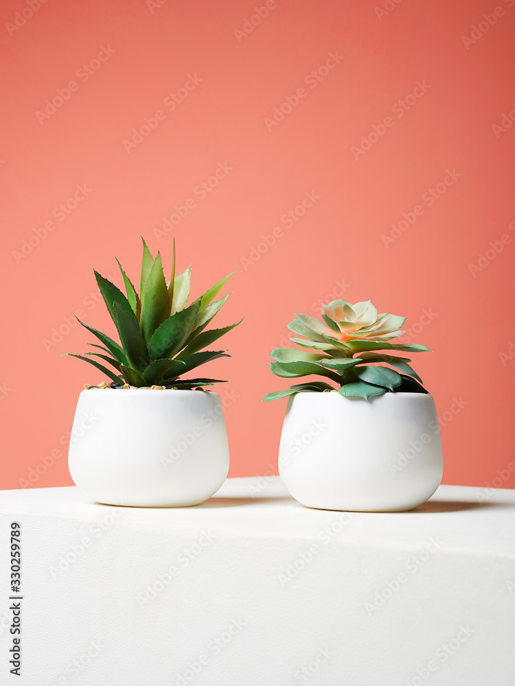 abstract still life. Couple of Plant over red wall abstract still life. Couple of Plant over red wall